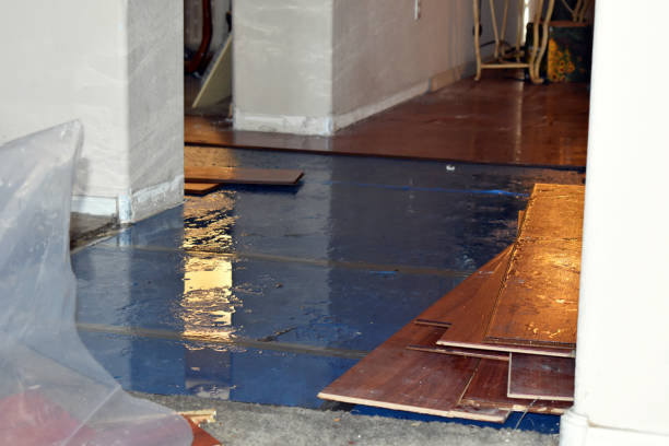 Professional Flood Cleanup technician working in Lewistown, IL